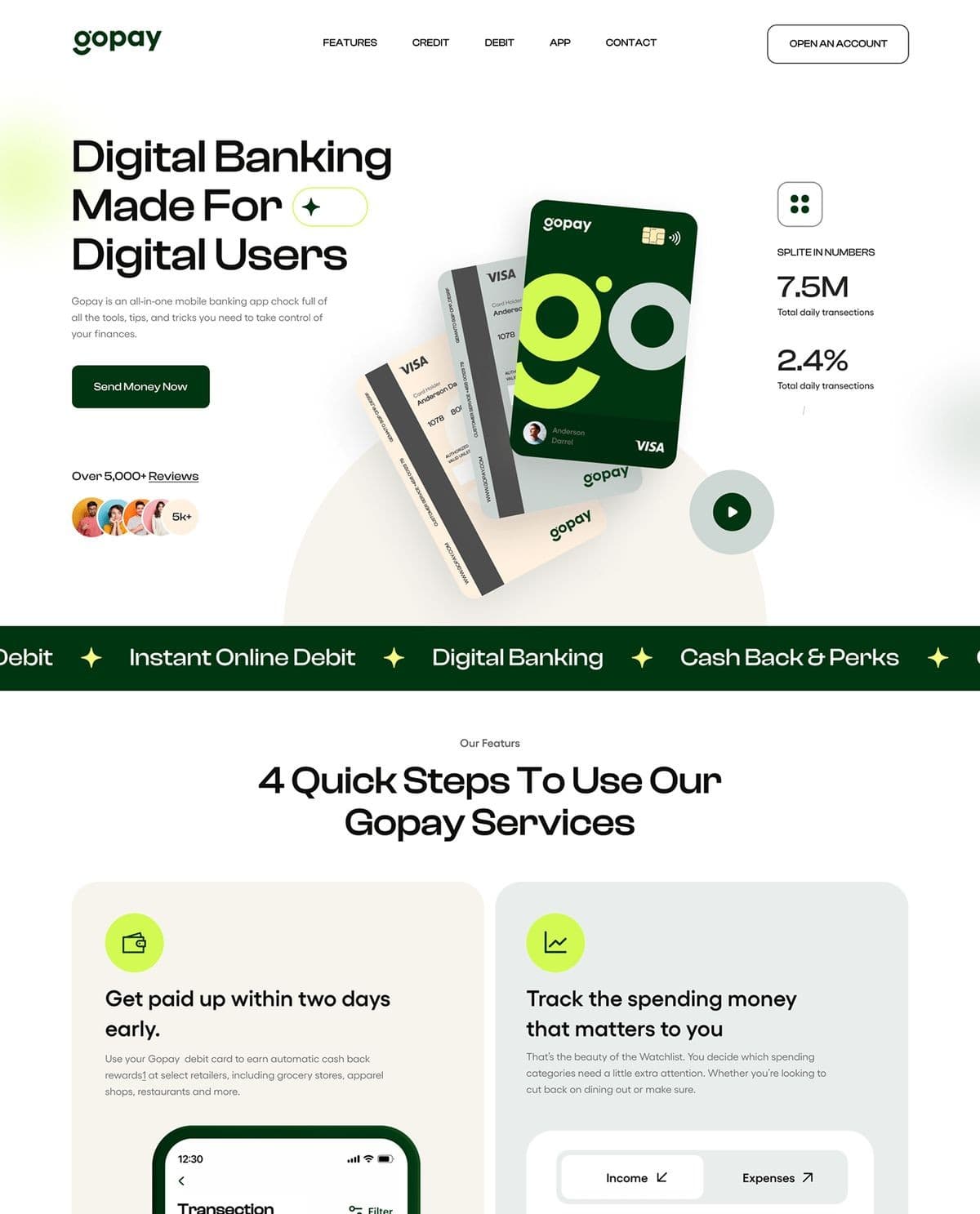 Professional Web Design Mockup